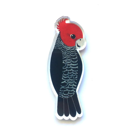 Gang Gang Cockatoo Pin