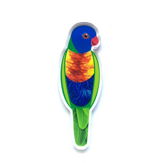 Rainbow Lorikeet Pin