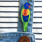 Rainbow Lorikeet Pin