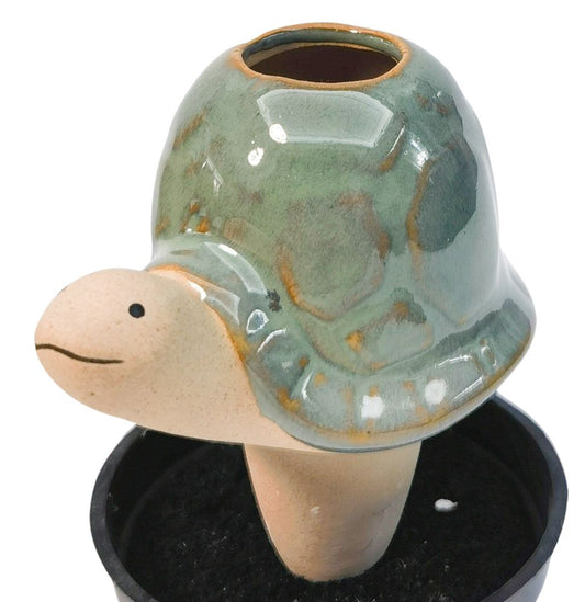 Small Turtle Water Seeper