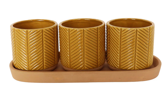 3 Small Planters on Saucer
