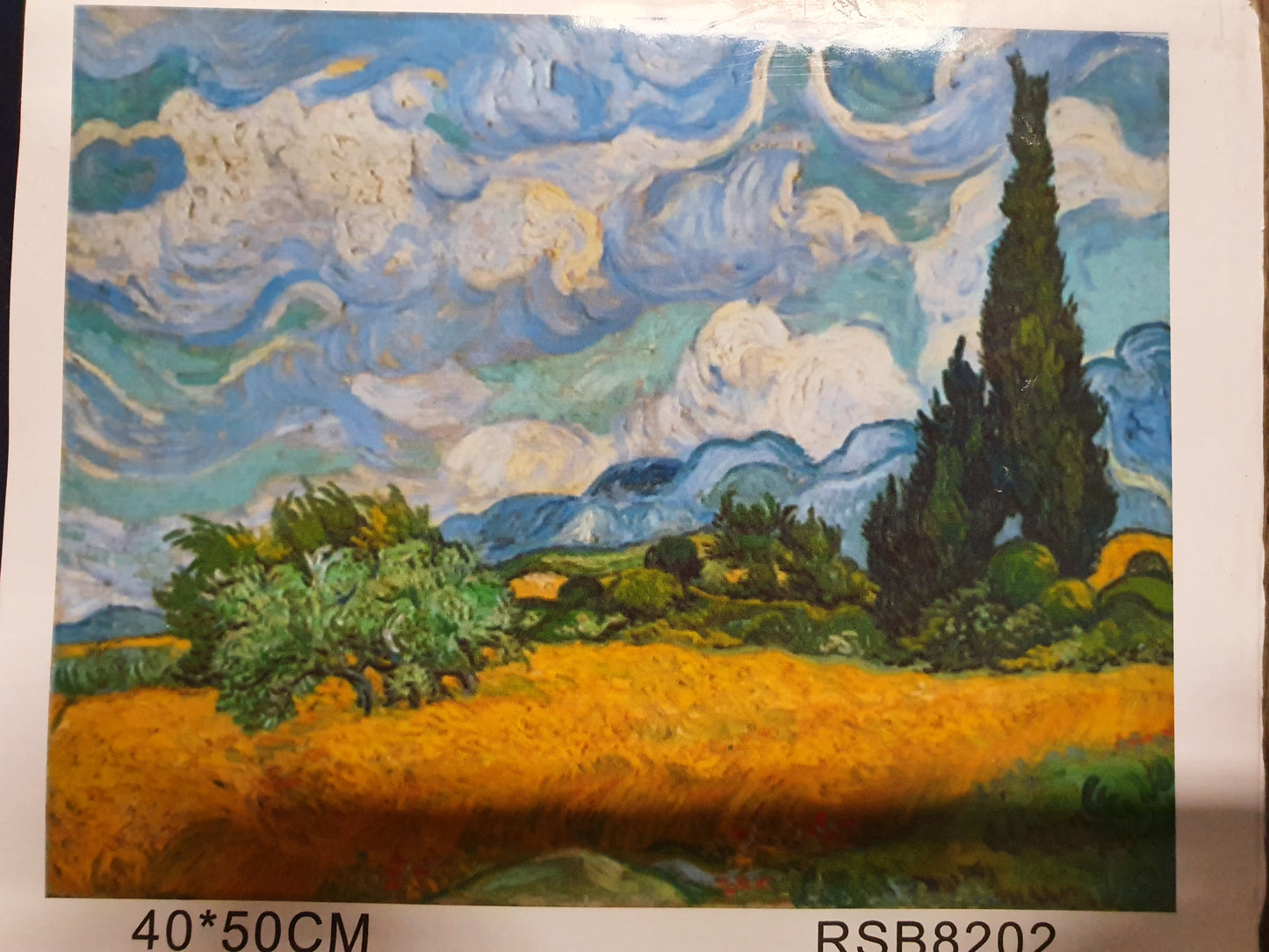 Paint By Numbers Kit 40x50cm