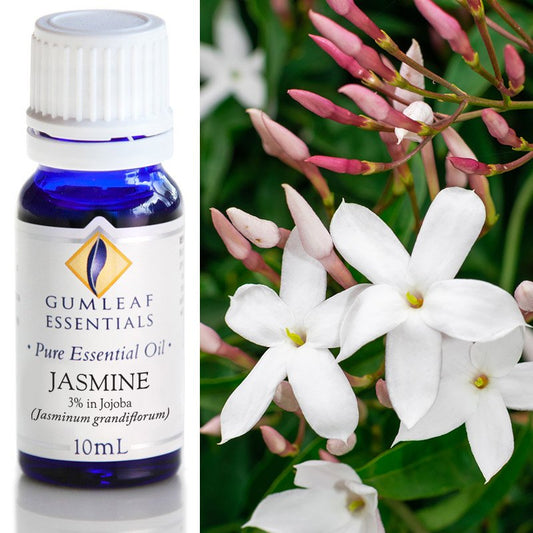 Essential Oil - Jasmine