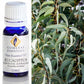 Gum Leaf Essential Oils