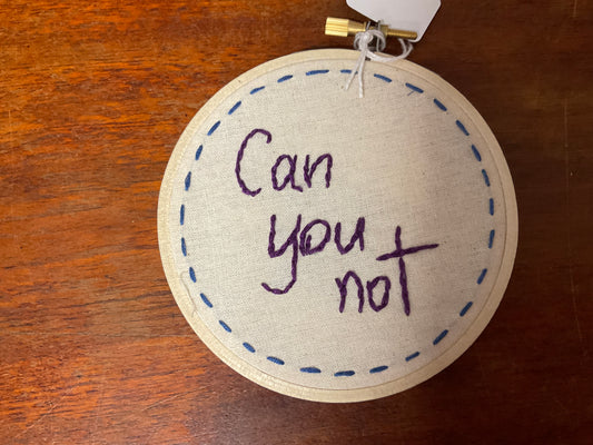 Naughty Corner Embroidery - Can You Not 10cm