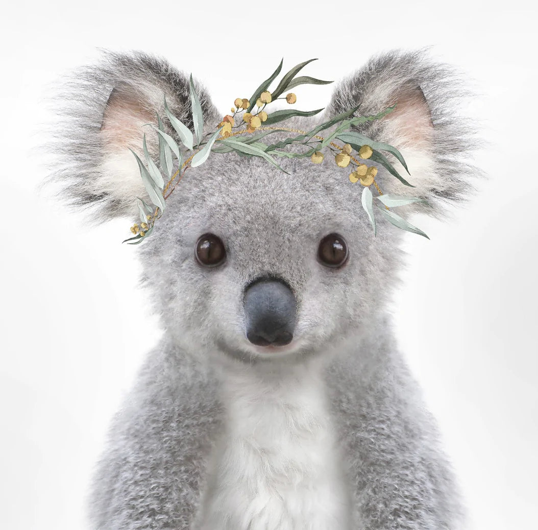 Baby Koala Eucalyptus Print A4