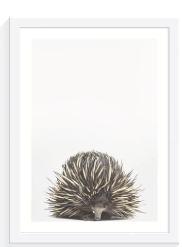 Baby Echidna Print A4