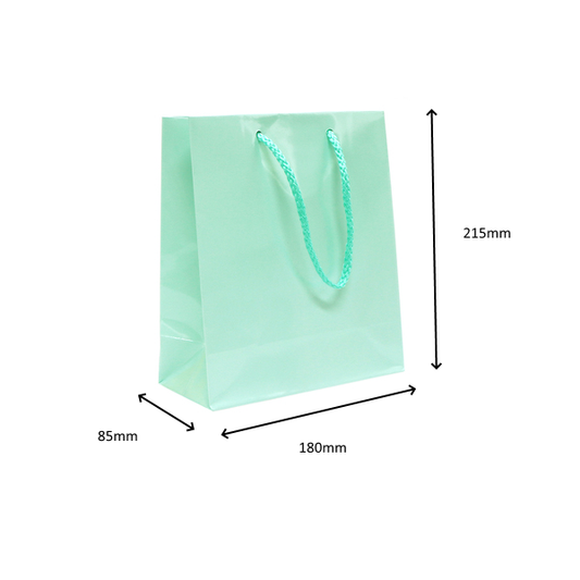 Glossy Aqua Gift Bags Medium