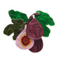 Botanical Fruit Collection 12 January 23