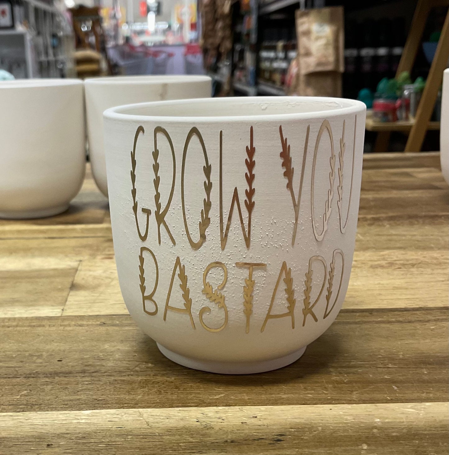 Funny Planter Grow You Bastard