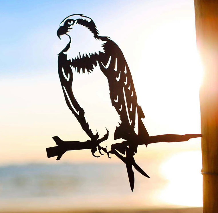 Osprey Regular