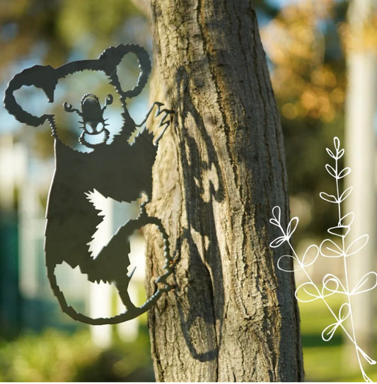 Animalia Koala