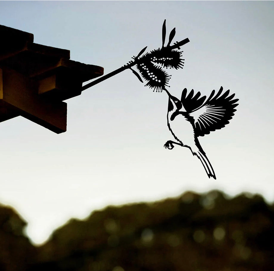 Eastern Spinebill Regular