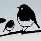 Robin with Chick Regular