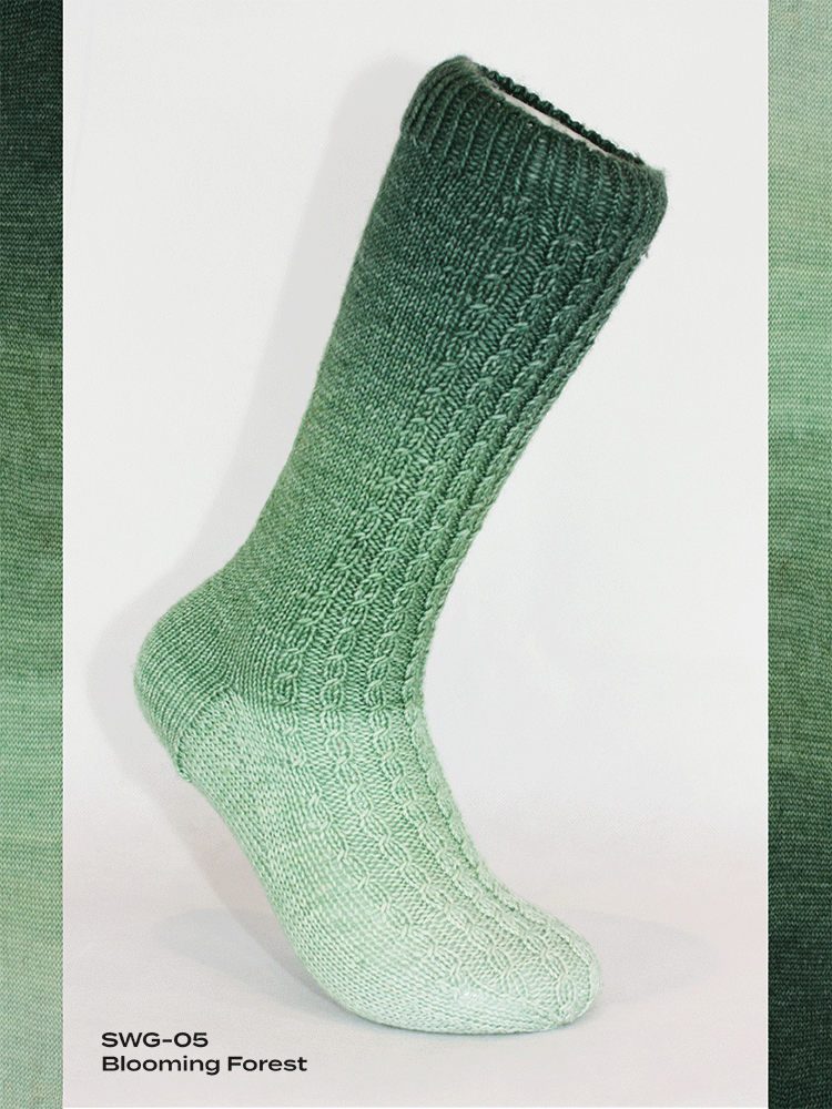 Fiori Gradient Sock Hand Dyed Yarn