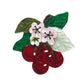 Botanical Fruit Collection 12 January 23