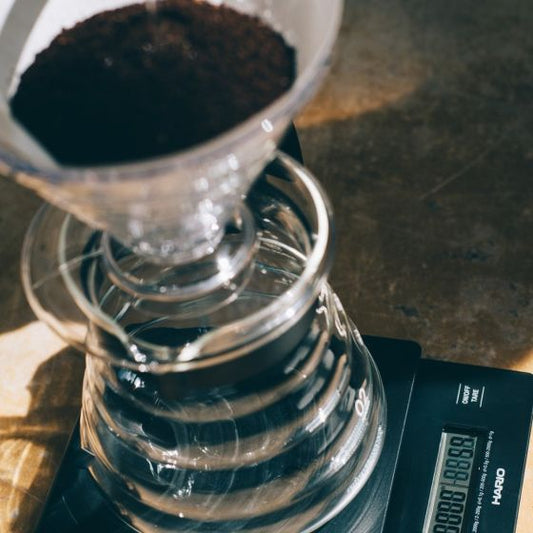 Hario V60 Paper Filter 02 - x100