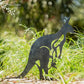 Animalia Kangaroo