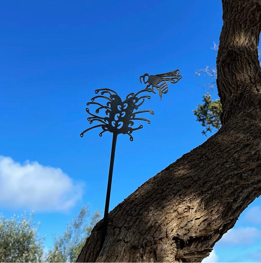 Blue Banded Bee Regular