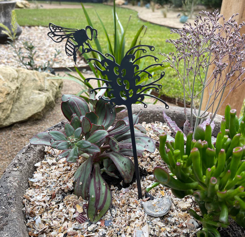 Blue Banded Bee Regular