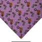 Erstwilder x Melanie Hava Collection