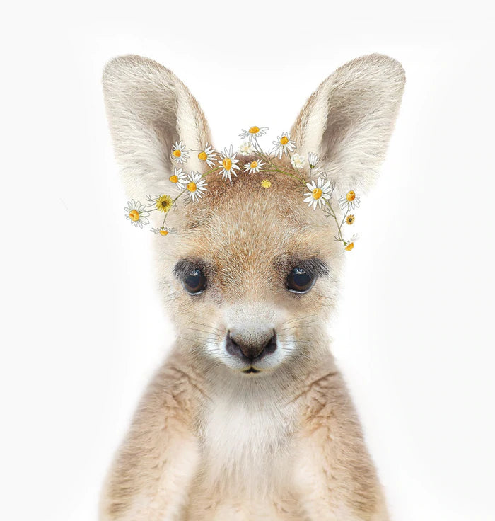 Baby Kangaroo Daisy Crown Print A4