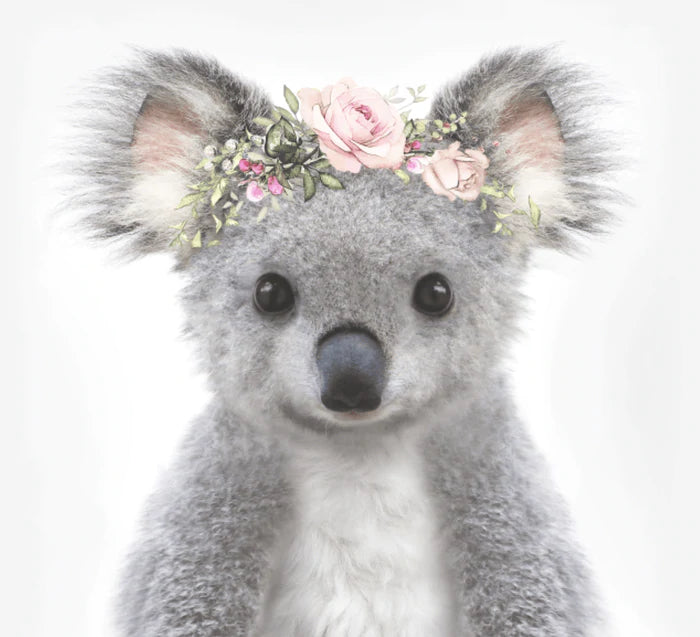 Baby Koala Rose Crown Print