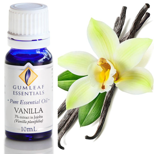 Essential Oil - Vanilla