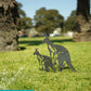 Animalia Kangaroo