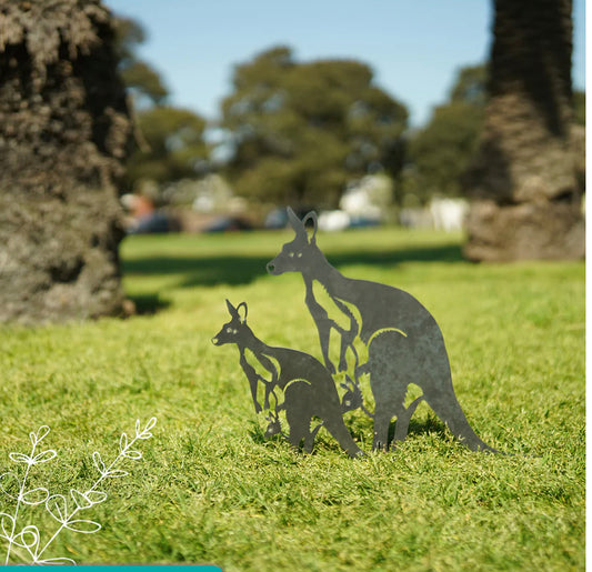 Animalia Kangaroo