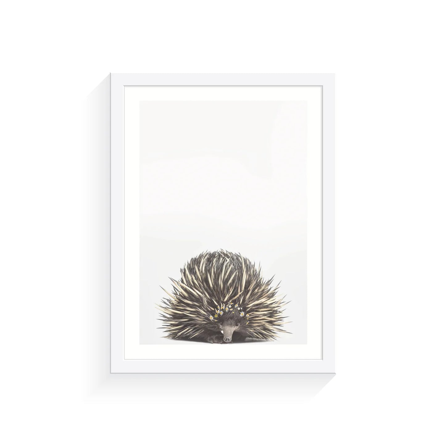 Baby Echidna Daisy Crown Print A4