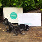 Baby Animalia Pack