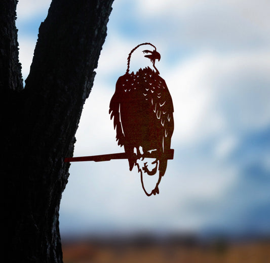 Wedge-Tailed Eagle
