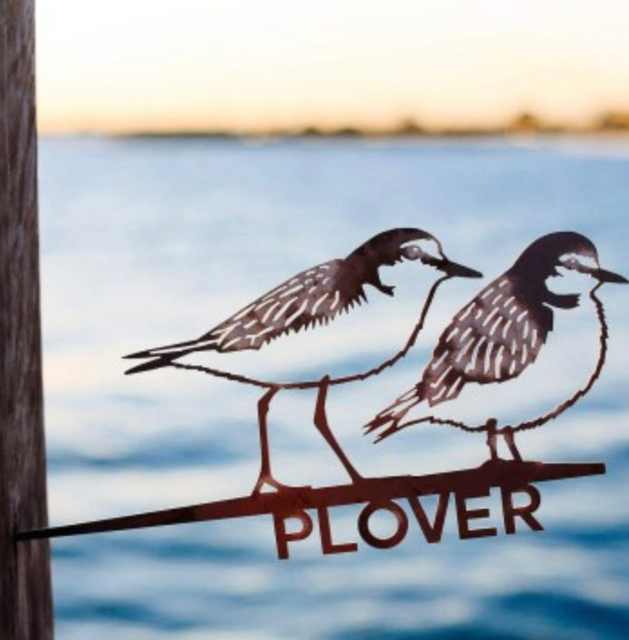 Plover Regular