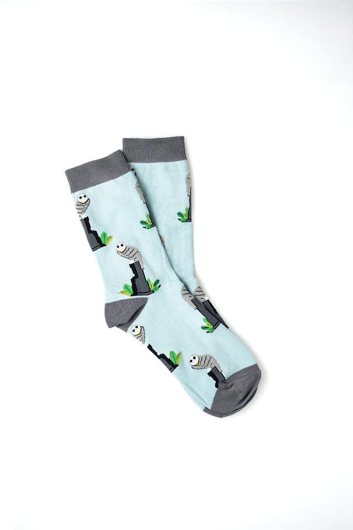 Belconnen Owl Socks