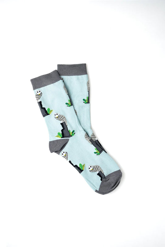 Belconnen Owl Socks