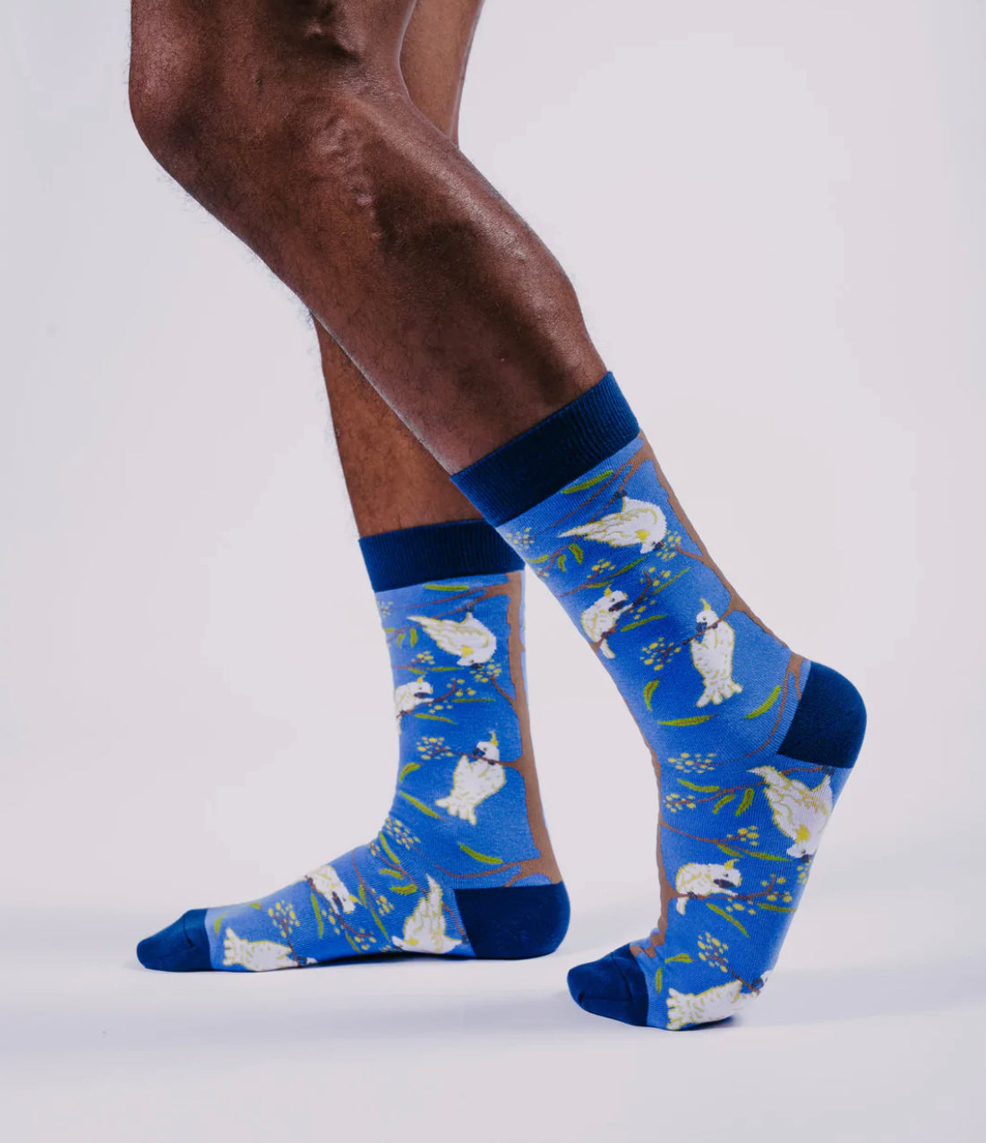 Branching Out Socks Large