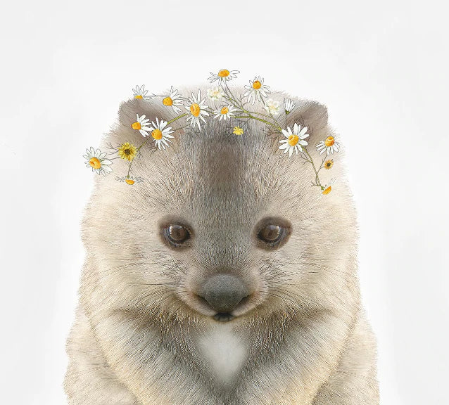 Baby Wombat Daisy Crown Print A4