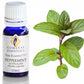 Gum Leaf Essential Oils