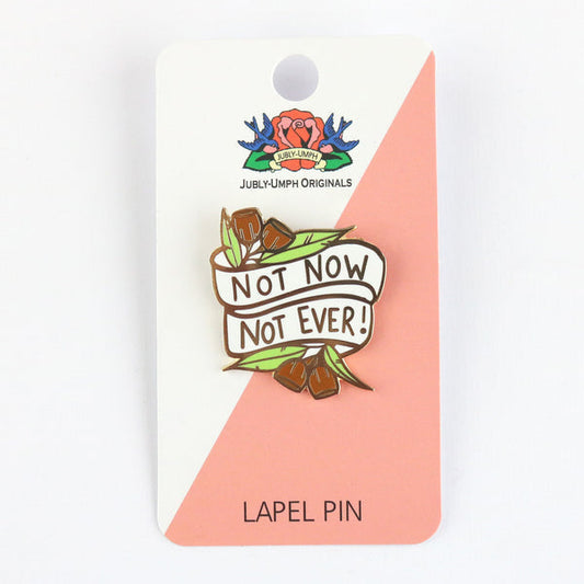 Not Now, Not Ever Lapel Pin